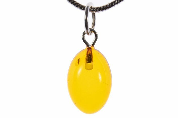 Polished Baltic Amber Pendant (Necklace) - Contains Fly! #339603